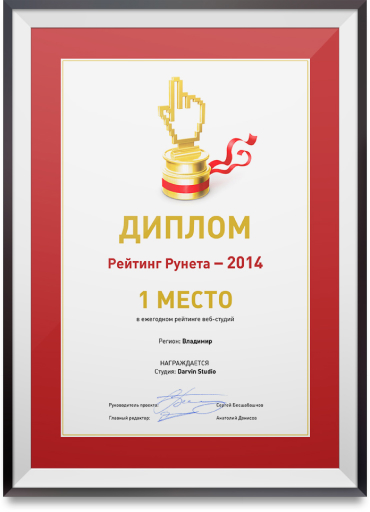 1 место в ежегодном рейтинге веб-студий. Регион: Владимир.