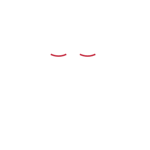 Art Partner