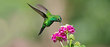 Алгоритм Google Колибри (Hummingbird)