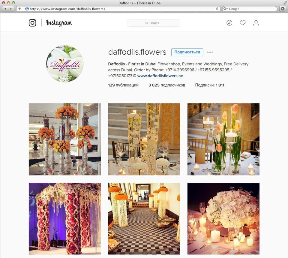 Группа Instagram Daffodils - Florist in Dubai