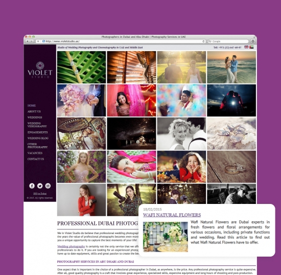 Создание и раскрутка сайта Violet Studio